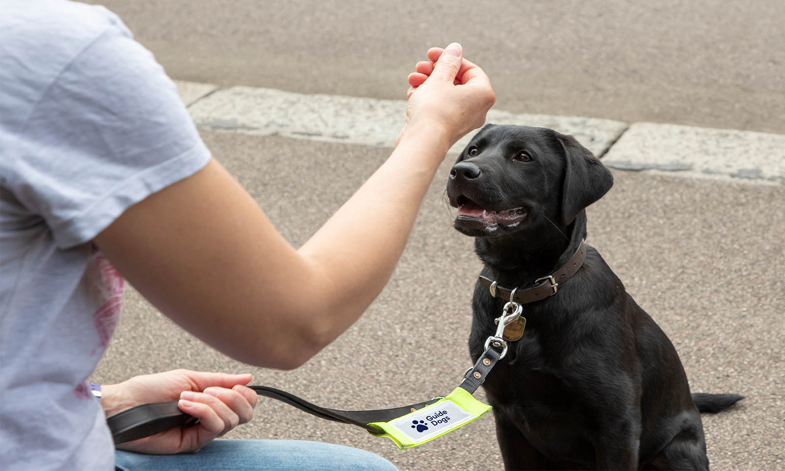 Our donation to the Guide Dogs